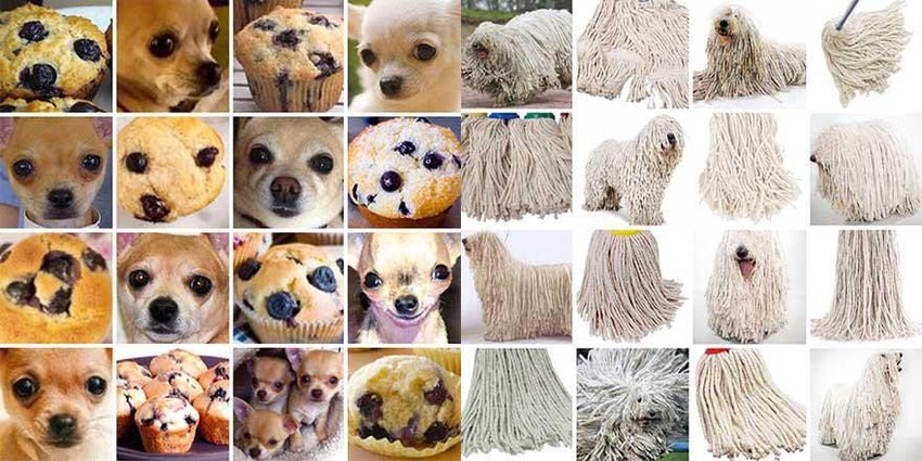 Visually similar images chihuahuas and blueberry muffins or sheepdogs and mops Source.jpg