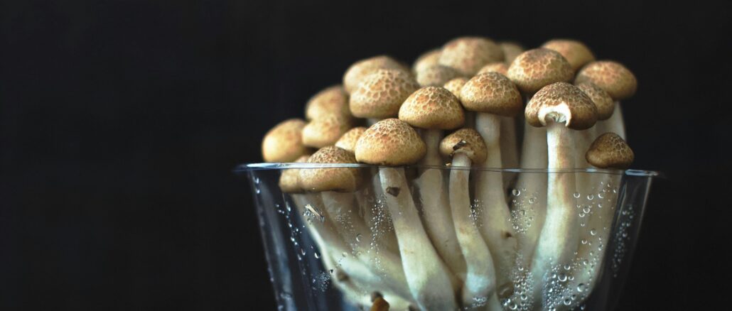 mari liis link cWU4aGioqAY unsplash