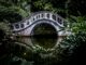 wai siew LjesOs00QRg unsplash