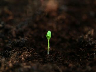 fahim mohammed SWAHvtC8S2E unsplash