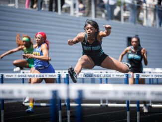 Hurdle